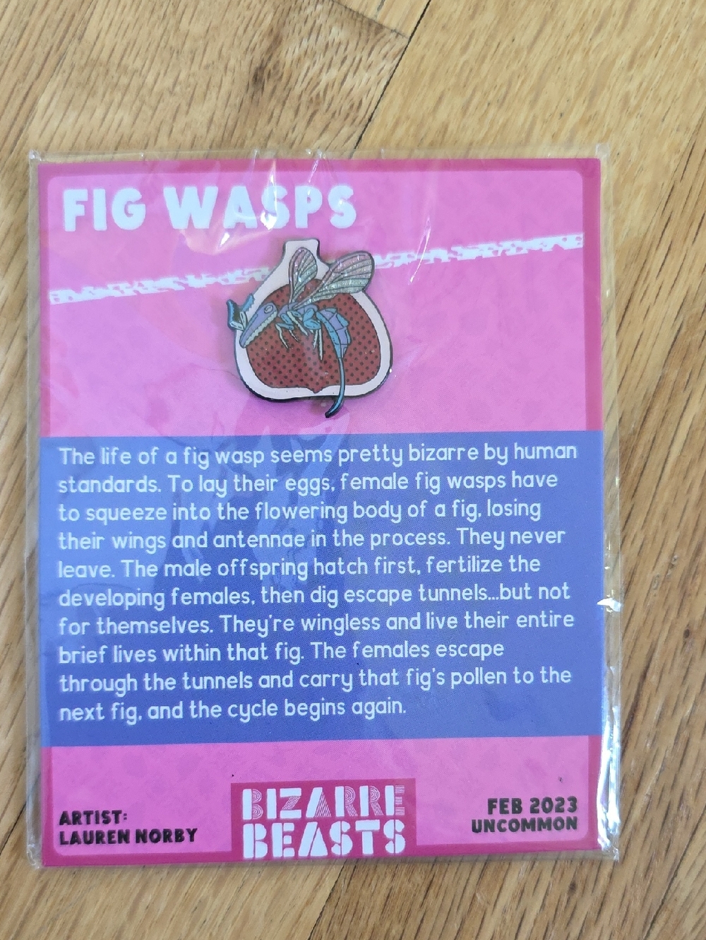 Bizarre Beasts February 2023 Enamel Pin Fig Wasps Uncommon
